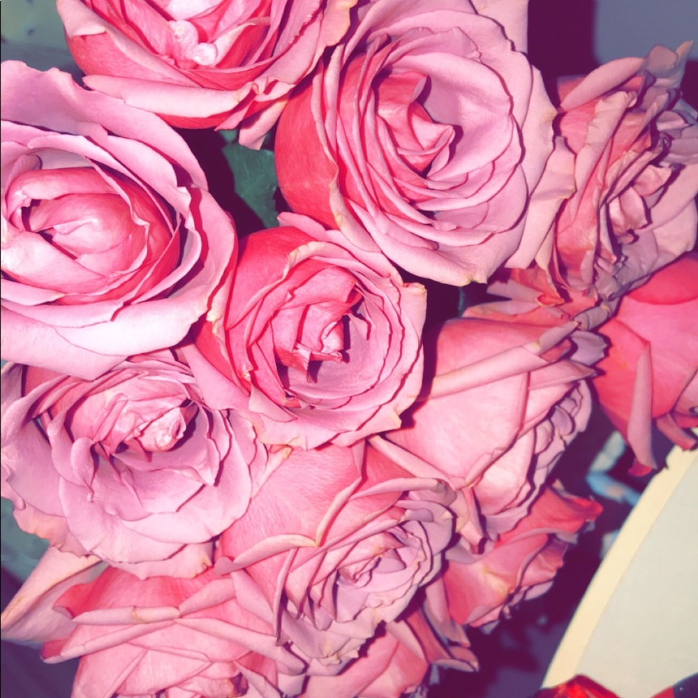 Meet your Posher, Nastasia